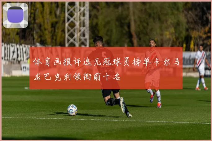 体育画报评选无冠球员榜单卡尔马龙巴克利领衔前十名